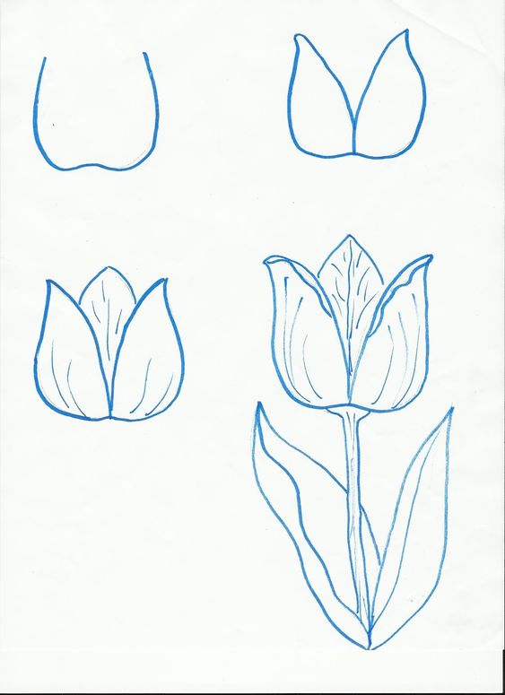 100 top idées & tutos de dessins de fleurs : pour apprendre à dessiner des fleurs 118