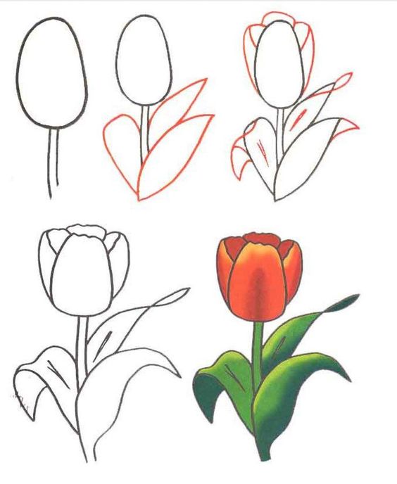 100 top idées & tutos de dessins de fleurs : pour apprendre à dessiner des fleurs 119