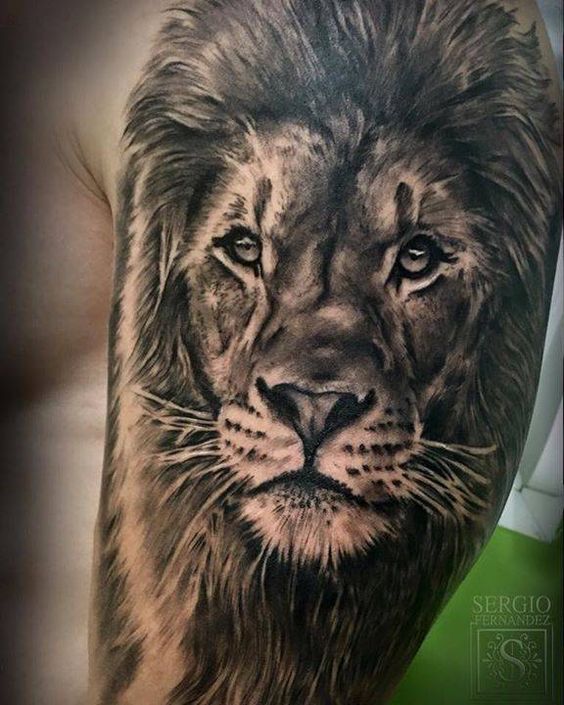100 top idées de tatouages lion 36