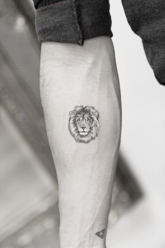 100 top idées de tatouages lion 47