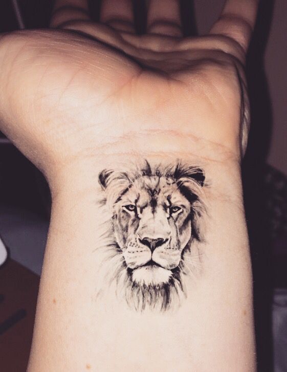 100 top idées de tatouages lion 49