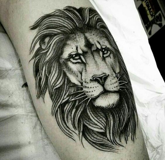100 top idées de tatouages lion 81