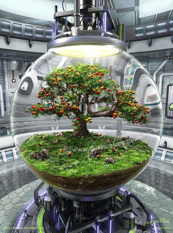 22 jolies idées de décorations de terrariums en tendance 15
