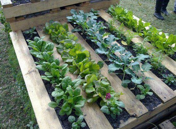 100 top idées pour aménager un jardin sans dépenser d'argent 29