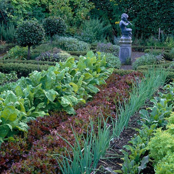 100 top idées pour aménager un jardin sans dépenser d'argent 119