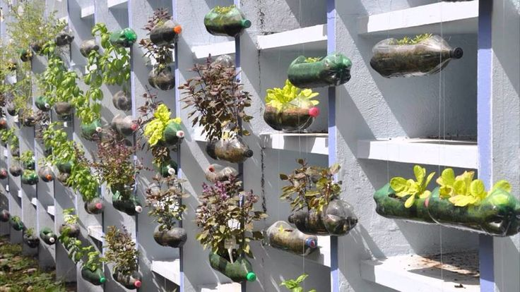 100 top idées pour aménager un jardin sans dépenser d'argent 123