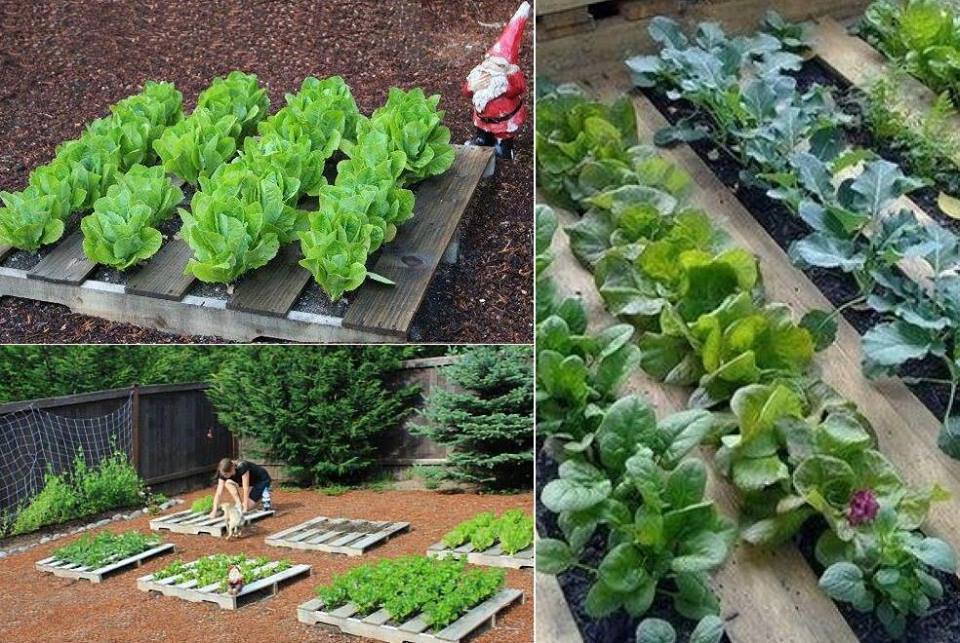 100 top idées pour aménager un jardin sans dépenser d'argent 141