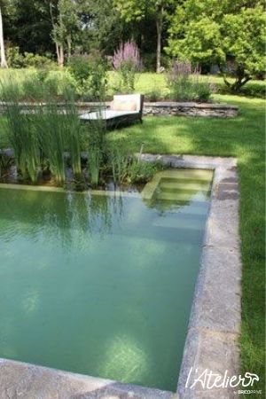 36 conceptions de piscines naturelles pour avoir une plage dans son jardin 12