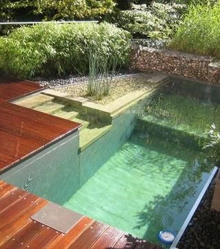36 conceptions de piscines naturelles pour avoir une plage dans son jardin 26