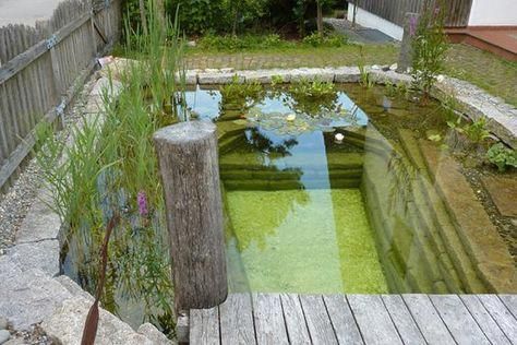 36 conceptions de piscines naturelles pour avoir une plage dans son jardin 29