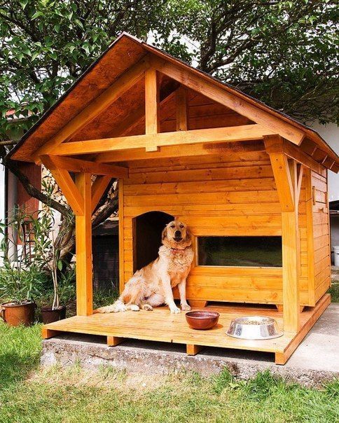 80 maisons pour chien à construire soi-même 24