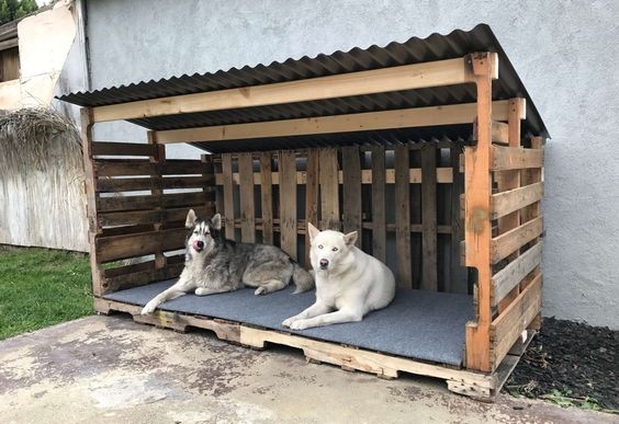 80 maisons pour chien à construire soi-même 58