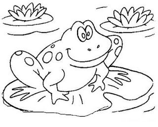 23 top idées de dessins grenouilles & coloriages 4