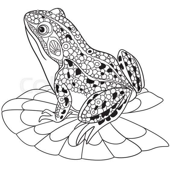 23 top idées de dessins grenouilles & coloriages 10