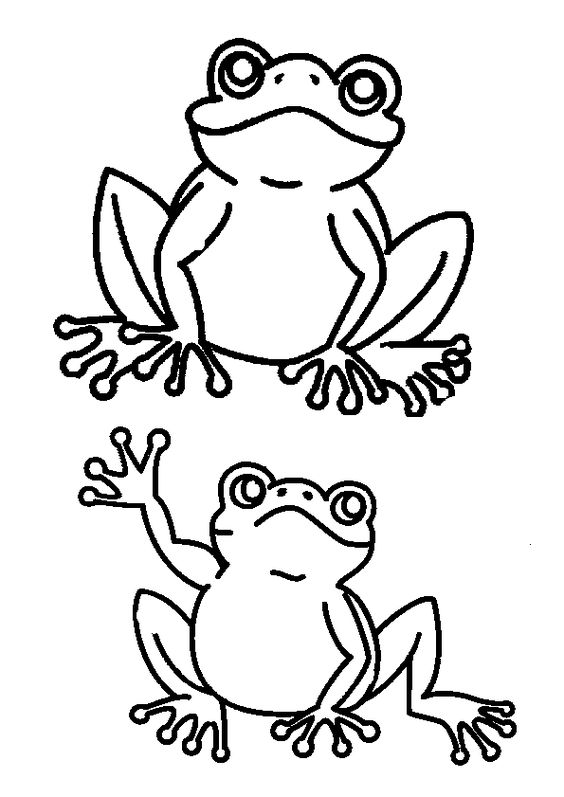 23 top idées de dessins grenouilles & coloriages 11