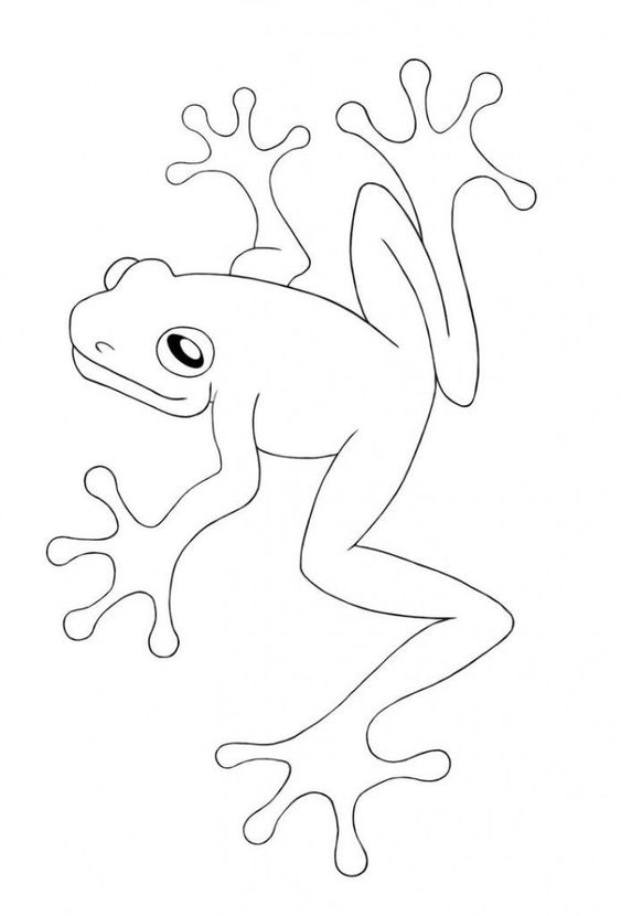 23 top idées de dessins grenouilles & coloriages 22