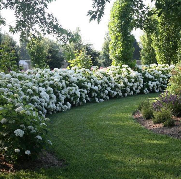 Les 100 plus beaux décors de jardin de tous les temps 42