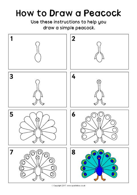 92 tutos dessins mignons étape par étape : pour apprendre le dessin 17