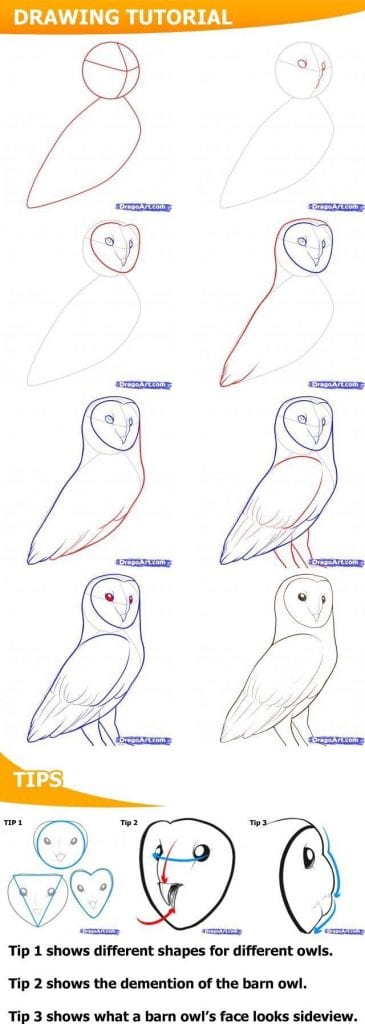 59 tutos pour apprendre à dessiner des animaux 32