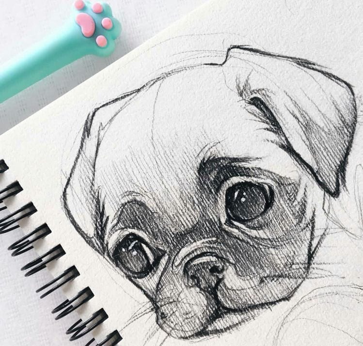 59 tutos pour apprendre à dessiner des animaux 47