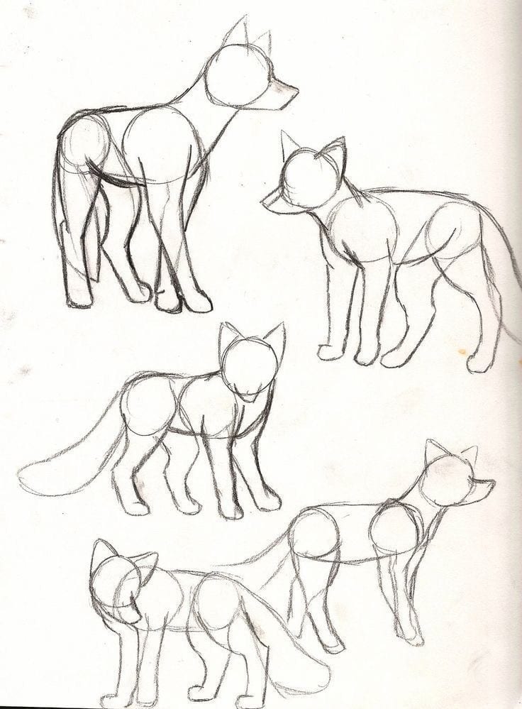 59 tutos pour apprendre à dessiner des animaux 49