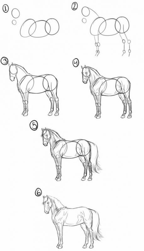 100 tutos dessins faciles à faire pour apprendre à dessiner plus facilement 43