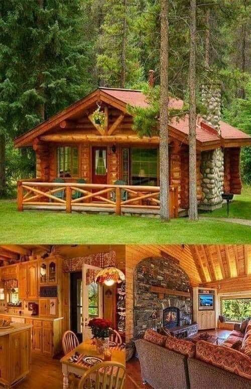 16 modèles de maisons en bois pour s'inspirer 4