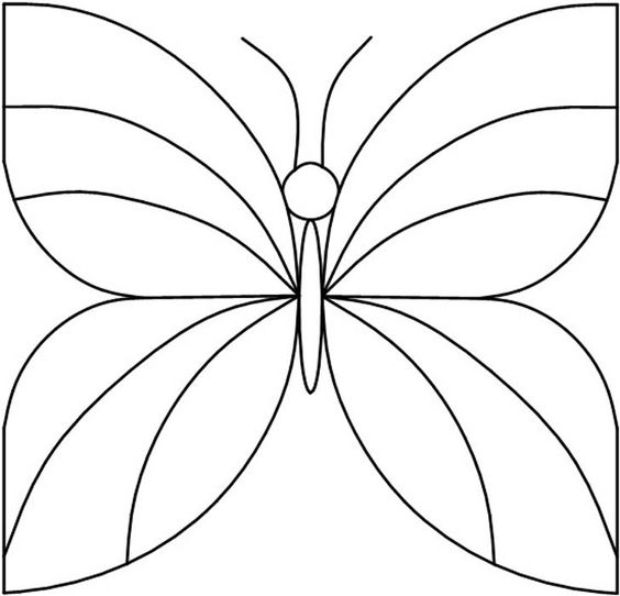 53 Dessins papillon à Imprimer & à Colorier 5