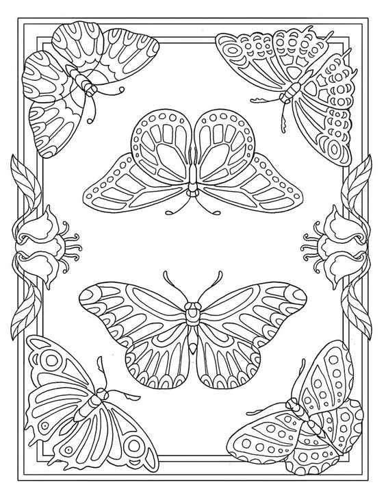 53 Dessins papillon à Imprimer & à Colorier 45