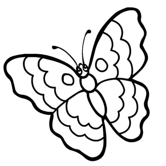 Coloriage Papillon 32 Dessins De Papillon A Imprimer Et A Colorier