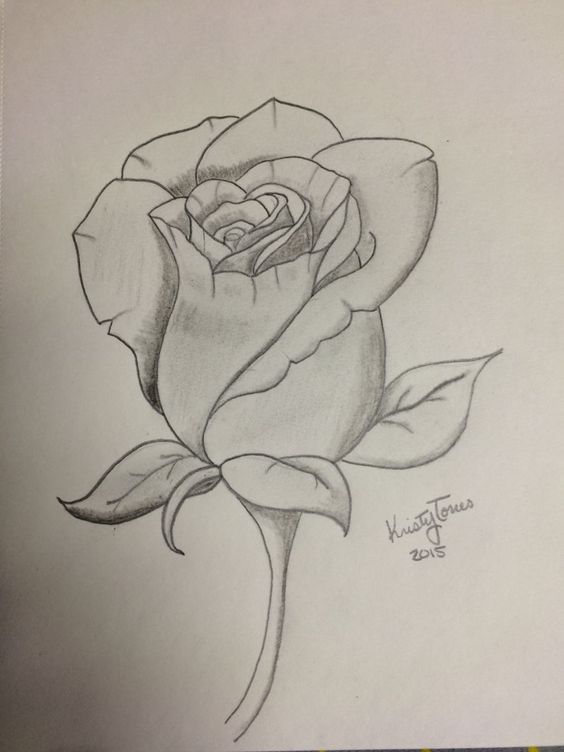 ROSE Dessin Facile 🌹au crayon  Comment dessiner une rose étape par étape  