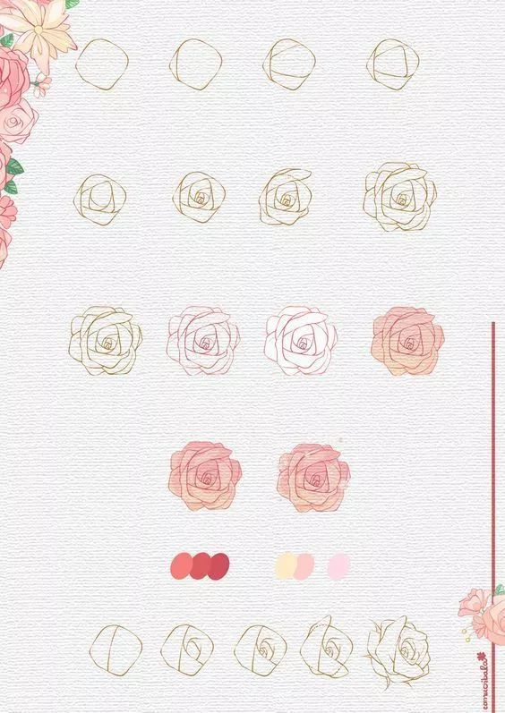 Comment dessiner une rose ? 37 idées & tutos étapes par étapes 17