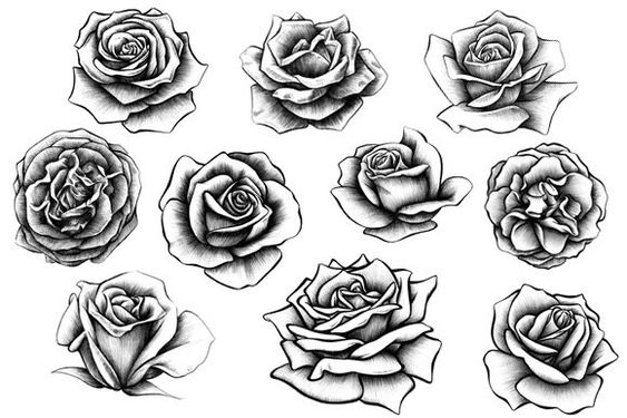 Comment dessiner une rose ? 37 idées & tutos étapes par étapes 3