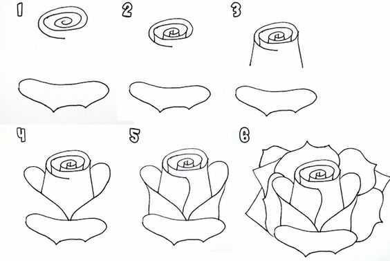 Comment dessiner une rose ? 37 idées & tutos étapes par étapes 36