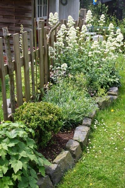 20 top idées pour embellir une bordure de jardin 4