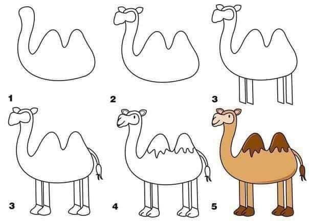 28 tutos dessins étape par étape : pour apprendre à dessiner aux enfants 12