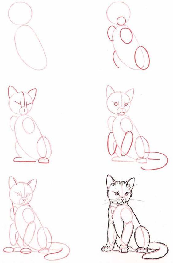 29 Tutos Dessins Chat Pour Savoir Comment Dessiner Un Chat Facilement