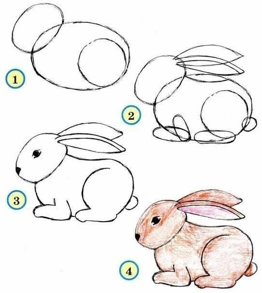 37 top idées et tutos de dessins d'animaux : pour apprendre à dessiner des animaux 37