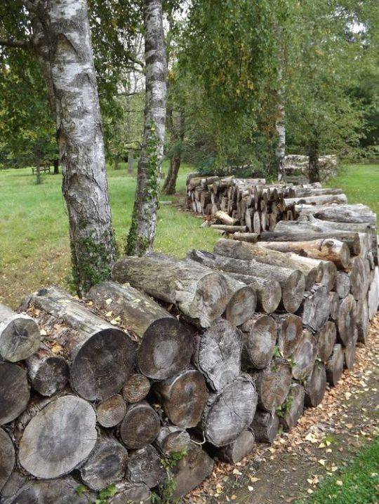 80 top idées pour embellir son allée de jardin 63