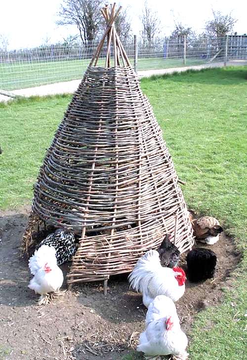 100 top idées de poulaillers pour la prise en charge de vos poulets 115