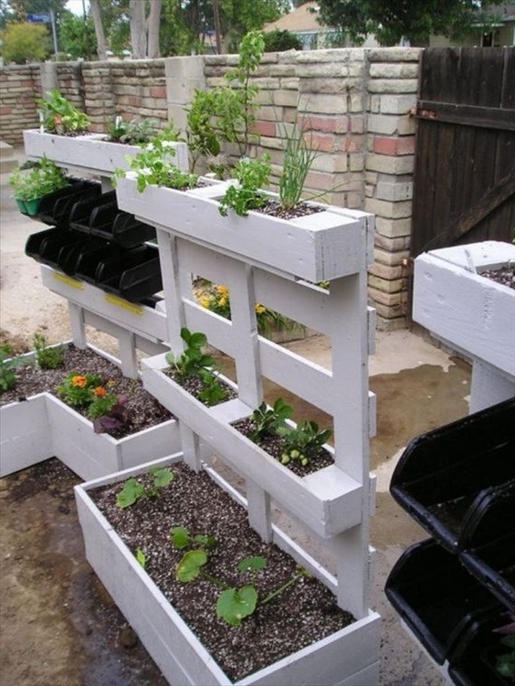 100 top idées pour faire un jardin potager 27