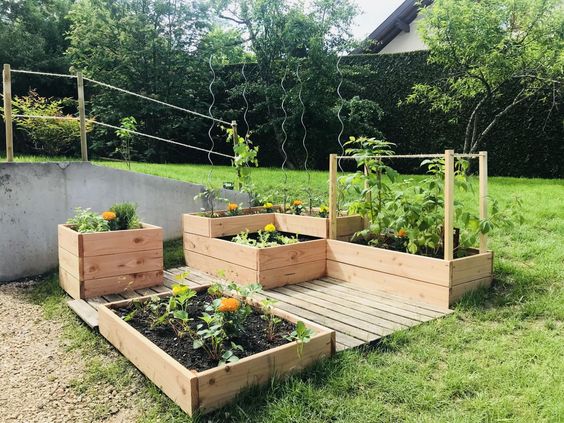 29 idées & astuces pour réussir son premier carré potager 16