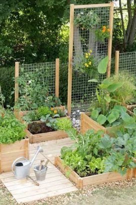 29 idées & astuces pour réussir son premier carré potager 18