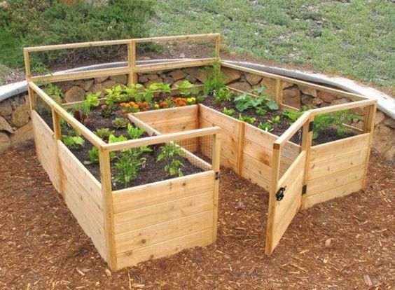 29 idées & astuces pour réussir son premier carré potager 21