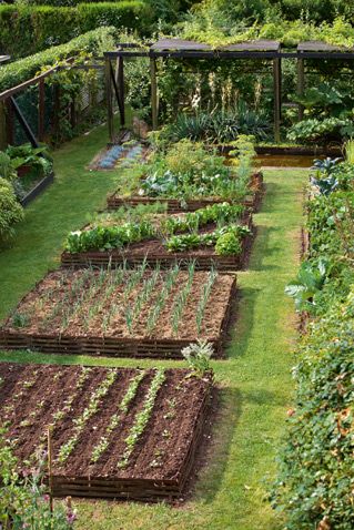 29 idées & astuces pour réussir son premier carré potager 22