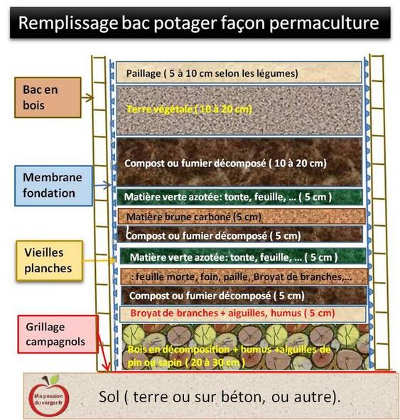 29 idées & astuces pour réussir son premier carré potager 6