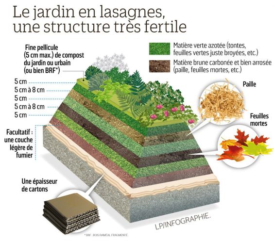 29 idées & astuces pour réussir son premier carré potager 7