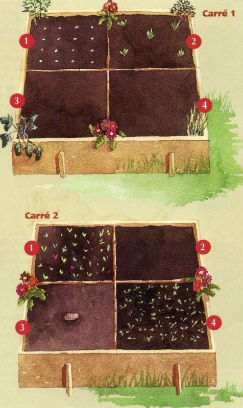 29 idées & astuces pour réussir son premier carré potager 25