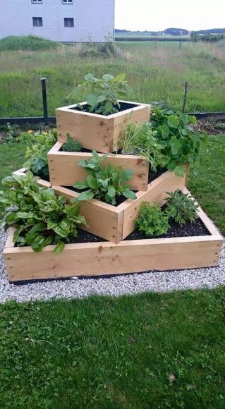 29 idées & astuces pour réussir son premier carré potager 26