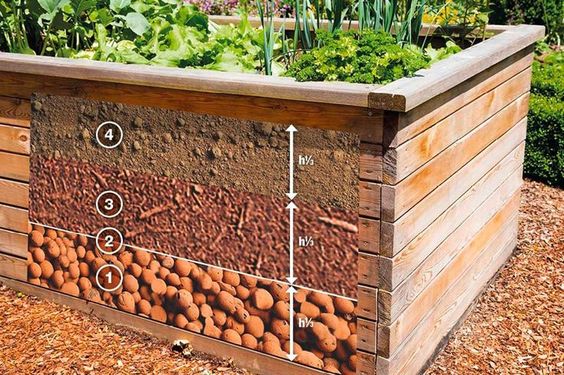 29 idées & astuces pour réussir son premier carré potager 5